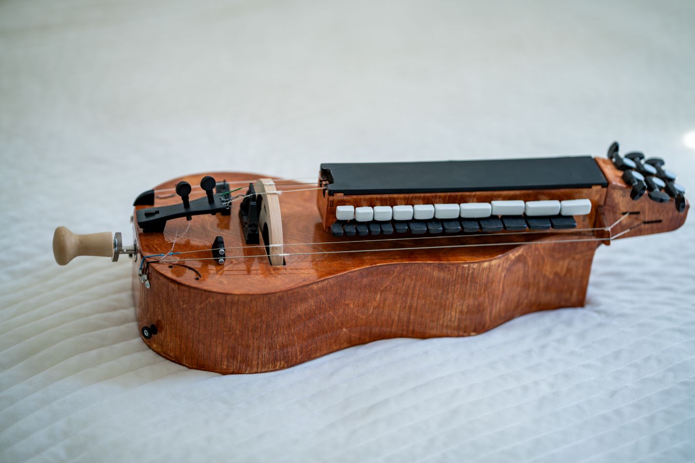 Hurdy Gurdy